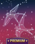 Weret Premium 1 Badge